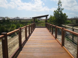 Boardwalk-Botanic Ridge