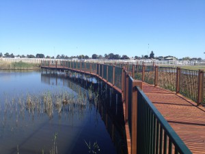 Caulfield Racecourse Boardwalk