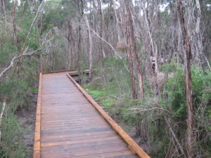 320m Timber Boardwalk with passing bays and viewing platforms – Mt Martha