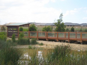 Boardwalk & Birdhide- Botanic Ridge