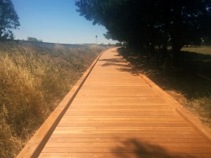 Castlemaine to Maldon Rail Trail – 120m boardwalk