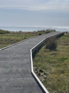 Bellarine Bayside – Indented Head boardwalk